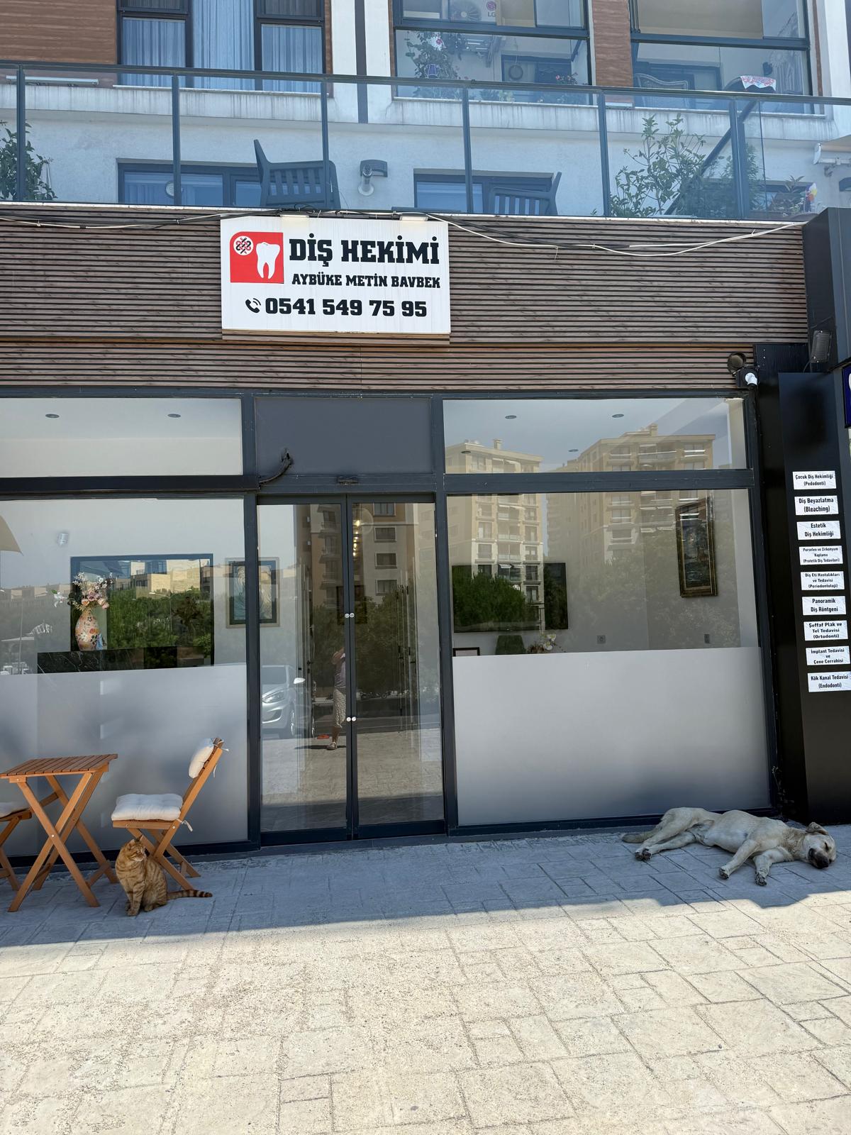 Genel Diş Hekimliği